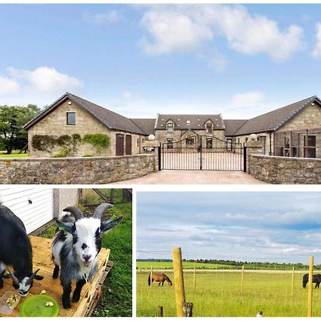 Cottage With Panoramic Views Kirk of Shotts ภายนอก รูปภาพ